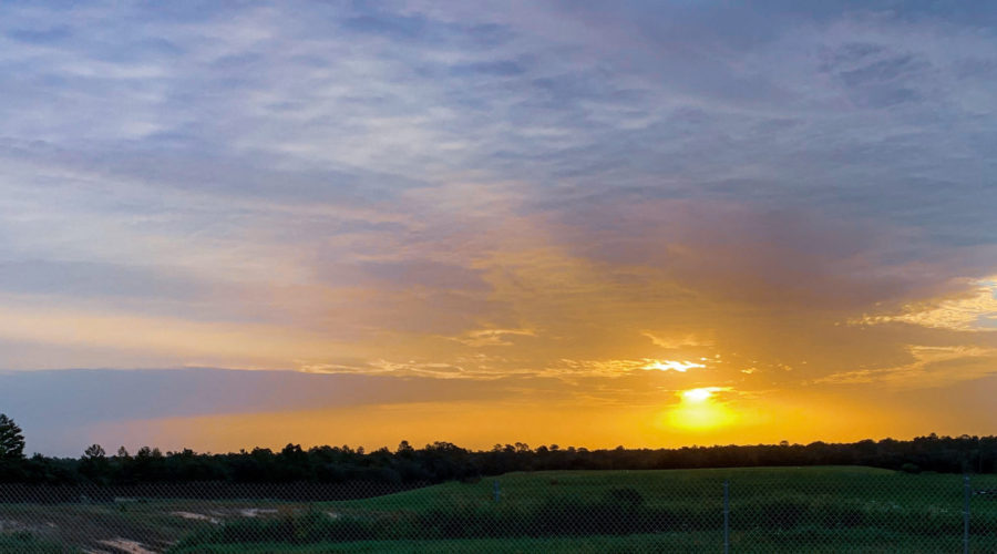 A bright orange sun coming up with Rays of light spreading out from the center through the clouds. Green pine woods spreads out across the horizon.