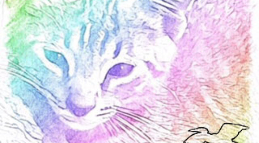 A photograph of a tabby kitten’s face and shoulders colored with a rainbow wash.