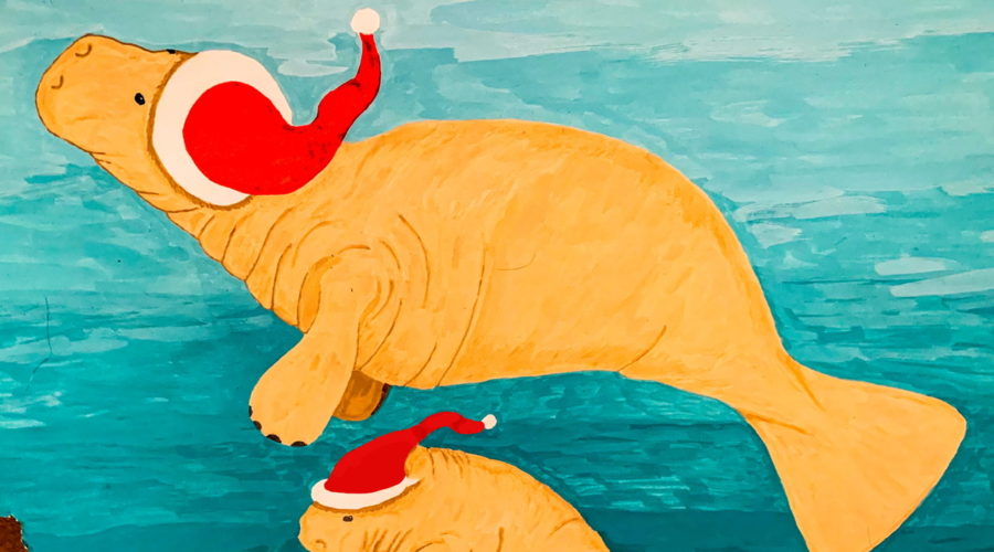 A hand drawn color image of a female manatee and her calf in Santa hats