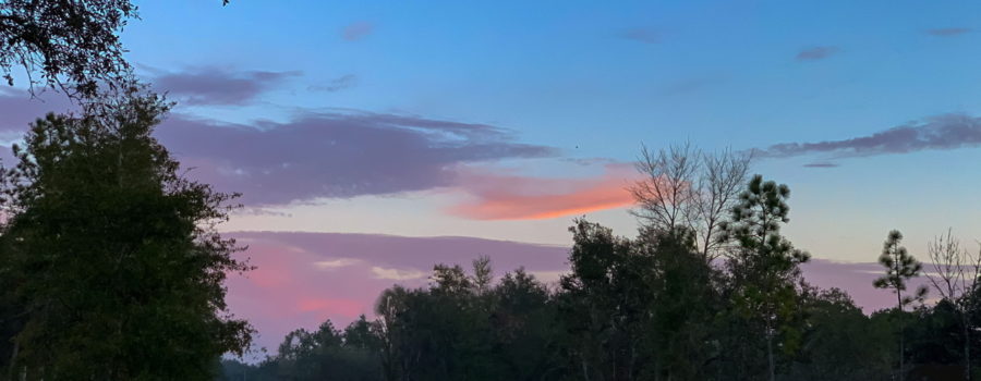 A beautiful blue sky with pink and purple clouds on the horizon as the sun sets over the central Florida sandhills. Below the sky is a lime rock country road through the woods.