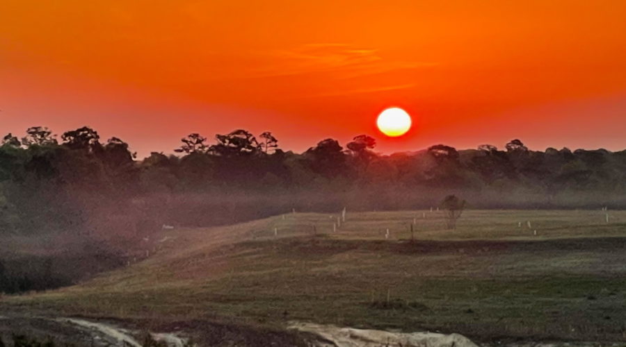 A pale yellow sun coming up over the woody horizon and an open, grassy field. The sky is a bright orange from the sun light.