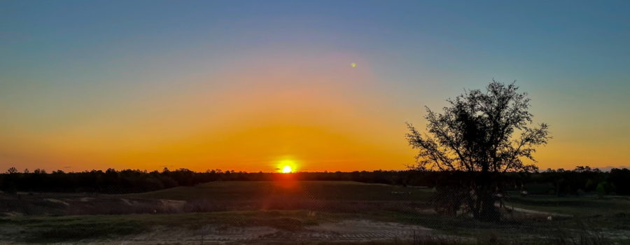An orange ball of sun just rising above the dark horizon of woods. One night time star still remains in the sky.