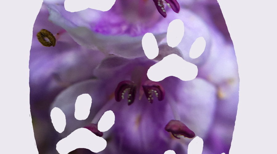 A color photo of a purple chaste tree flower in the shape of an egg and decorated with doggy paw cutouts.