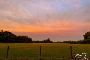 A beautiful sunset as viewed across a pasture in central Florida. The sky has dark bluish clouds along the horizon. The clouds color out to dark orange and eventually lighter orange. The cloud cover also lightens as you move away from the horizon, giving way to patches of fading blue sky. The pasture is surrounded by oak trees.