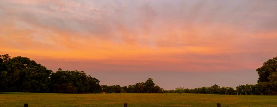 A beautiful sunset as viewed across a pasture in central Florida. The sky has dark bluish clouds along the horizon. The clouds color out to dark orange and eventually lighter orange. The cloud cover also lightens as you move away from the horizon, giving way to patches of fading blue sky. The pasture is surrounded by oak trees.