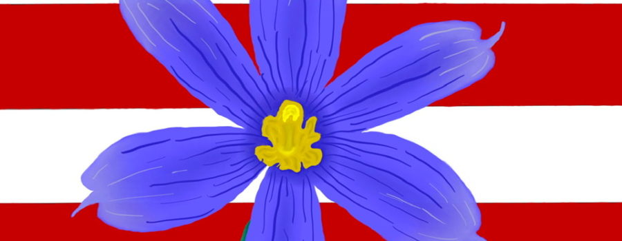 A blue, five petaled flower with a yellow center and green stem is drawn on a background of red and white stripes in celebration of the 4th of July.