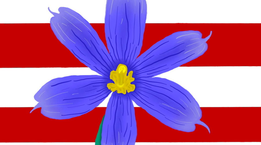 A blue, five petaled flower with a yellow center and green stem is drawn on a background of red and white stripes in celebration of the 4th of July.