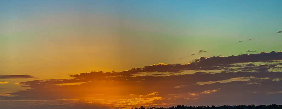 In this full color image of an early morning sunrise, the land is still mostly covered in shadow, while the very top of the bright orange sun is peeking over the tree tops. Orange light spreads out into the sky, radiating away from the sun. A bank of clouds that are low on the horizon reflect some of the light while the rest spreads into the sky, slowly merging into the blue.