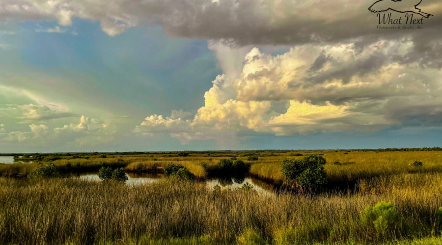 A full color view across the Florida wetlands on a cloudy evening. The flat land is covered mainly in marsh grasses with shallow waterways running through them. There is some green vegetation in the foreground. Active cloud formations cover a good bit of the otherwise blue sky.