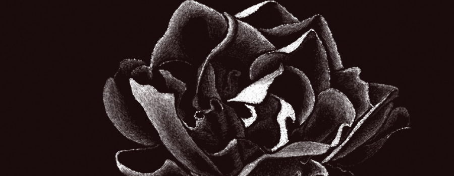 A black and white digital drawing of a gardenia flower in full bloom. The flower is drawn in white on a black background.