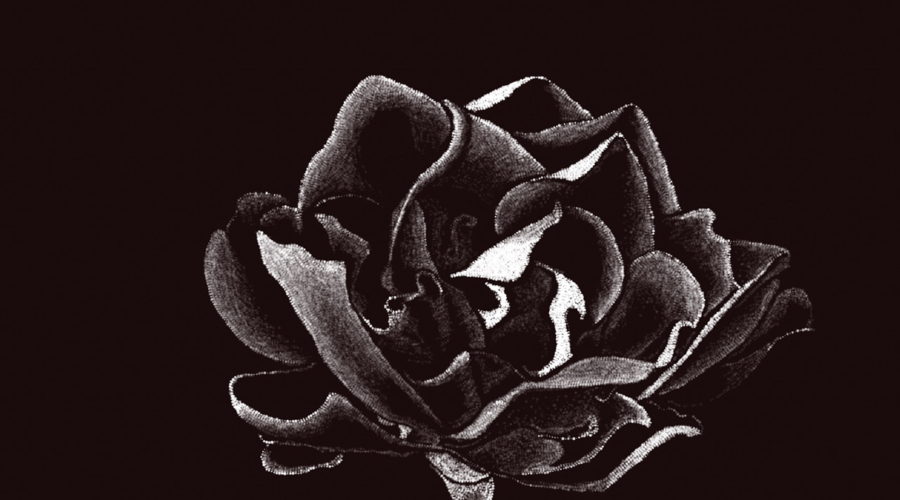 A black and white digital drawing of a gardenia flower in full bloom. The flower is drawn in white on a black background.