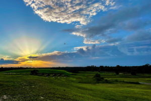 This image shows one of our remarkable Florida sunrise in all it’s glory. The sun is just above the horizon and is mostly hidden by clouds. Sun rays are spilling out from behind the clouds both above and below them. Some other fluffy clouds and a bird can also be seen in the sky. In the foreground is an open grassy field that extends to the woods on the horizon.