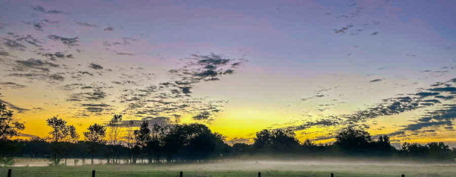 This colorful image shows the sun just beginning to rise over a misty farm field. The field is still fairly dark, but green grass can be seen on either side of a wire fence. Oak and pine trees in the background are silhouetted in front of the colorful sky. The horizon is yellow where the sun is rising from and fades to orange as you move to either side. The clouds that are low on the horizon are in silhouette while the lighter ones higher up in the sky are just beginning to take on a pink hue. The unclouded sky is a light blue above the sun and darkens towards purple as you move away.