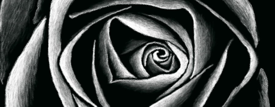 This is a hand drawn black and white image of a rose flower from the top down. The background is black while the drawing is in white and shows the highlights of the flower. The drawings is a pen and ink style drawing that was done digitally