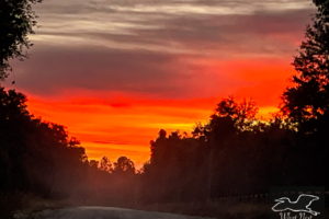 An early morning sunrise with exquisite orange, red, and yellow colors graces the sky in October. This image was taken on a misty country road on a partially cloudy day.