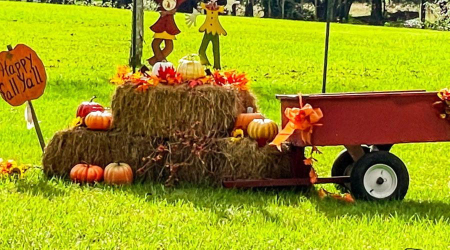 In this fall image a pair of cutout scarecrow figures are located in top of a fall display. The display consists of three bales of hay arranged in a trianglular manner and adorned in pumpkins and colorful orange and yellow leaves. A fall wreath sits in front of the hay bales. There is a red wagon to the right of the hay and a pumpkin shaped sign on the left that says “Happy Fall Y’all” in black lettering. The display is surrounded by green grass with oaks trees in the background.