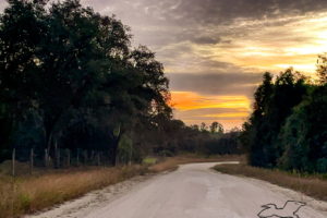 The sunrise breaks through the grey cloud cover over a dirt road in the Florida countryside.