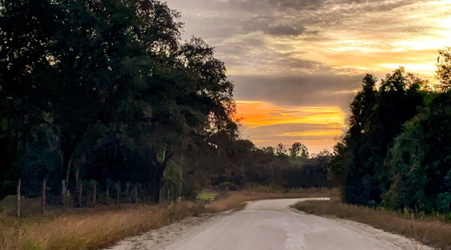 The sunrise breaks through the grey cloud cover over a dirt road in the Florida countryside.