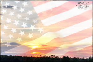 This photographic composite celebrates Veterans Day with an American landscape superimposed over the American flag.