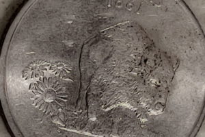 This photo shows the tails side of a Kansas State Quarter featuring the American bison.