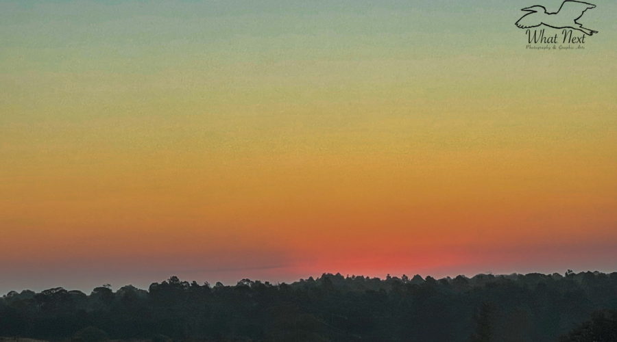 This wide angle photograph was taken over an open field that is bordered by woods. It was shot just before the sun rose over the horizon. The area where the sun is hiding is a deep orangish red. It illuminates the low level clouds along the horizon turning them a purple hue. As you move away from the horizon the sky fades to yellow, green, and finally light blue. The sky is cloudless except for those along the horizon.