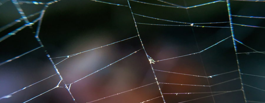 This is a macro photo of a spider web against a basically dark background with a few lights, especially at the bottom of the frame.