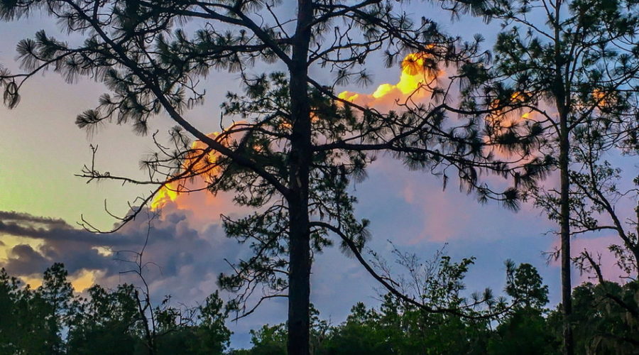 An early summer sunset lights up the clouds of an afternoon thunderstorm in central Florida.