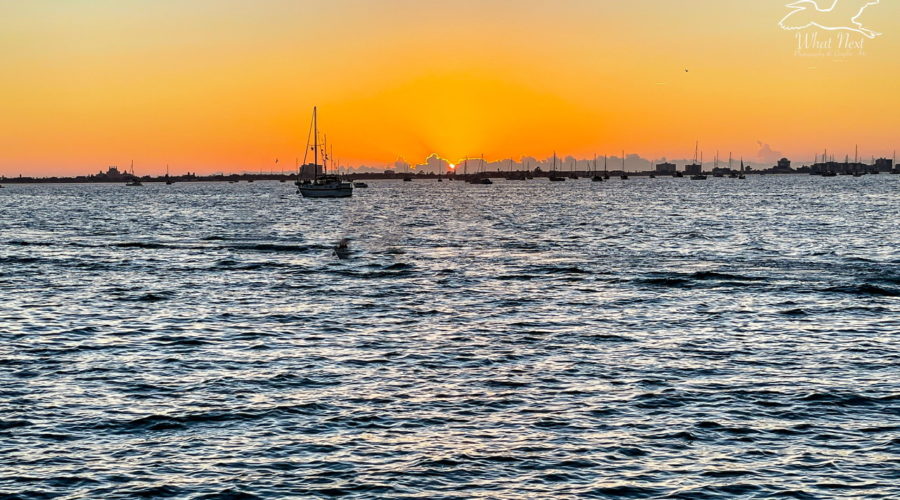The bright orange ball of the sun can be seen just before going down behind the clouds on the horizon of a boat filled bay.