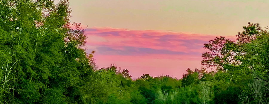 Horizontal layers of clouds take on pink and lavender colors from the rising sun.