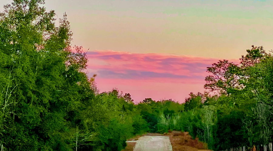 Horizontal layers of clouds take on pink and lavender colors from the rising sun.