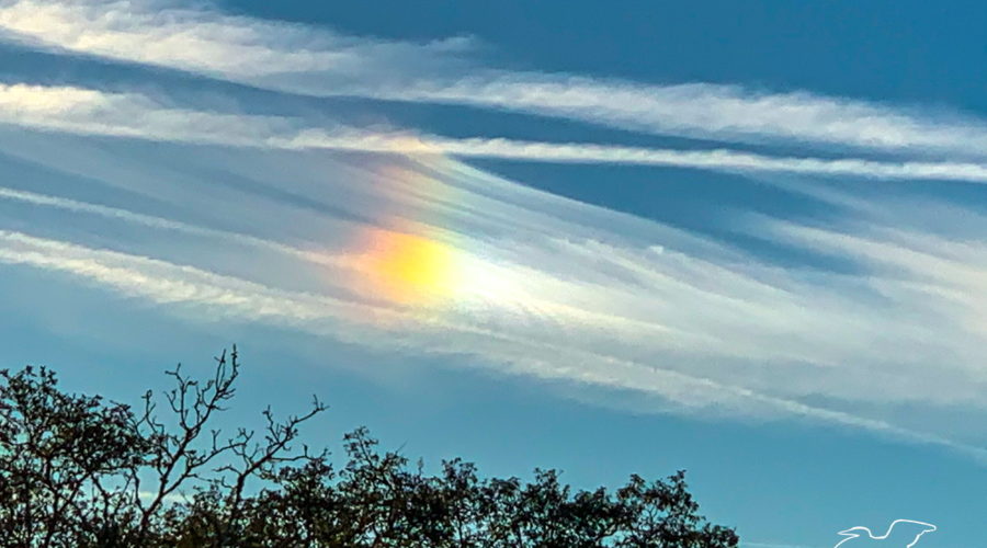 A thin stretch of white clouds reflects the sunlight in just the right way to produce a rainbow of colors, much like a prism does with a light beam.