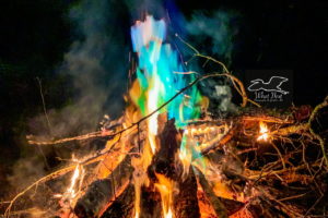 Fiery blues dance among the flames in an evening bonfire.