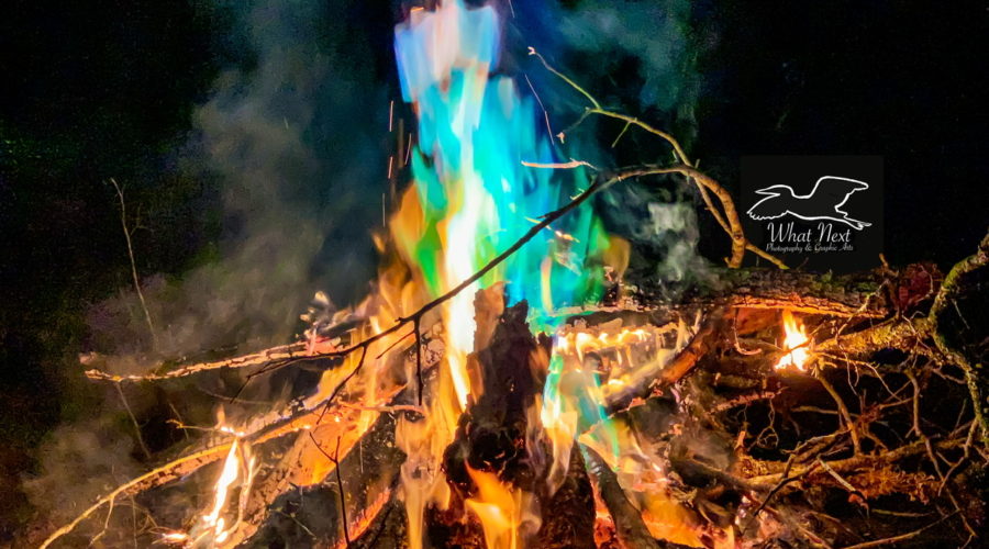 Fiery blues dance among the flames in an evening bonfire.
