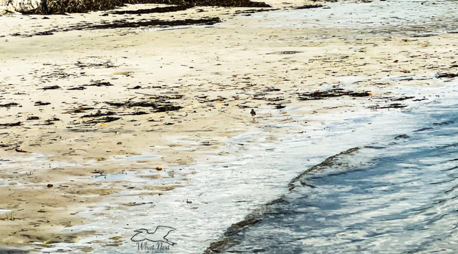 An afternoon at the beach in central Florida is always a pleasant time.