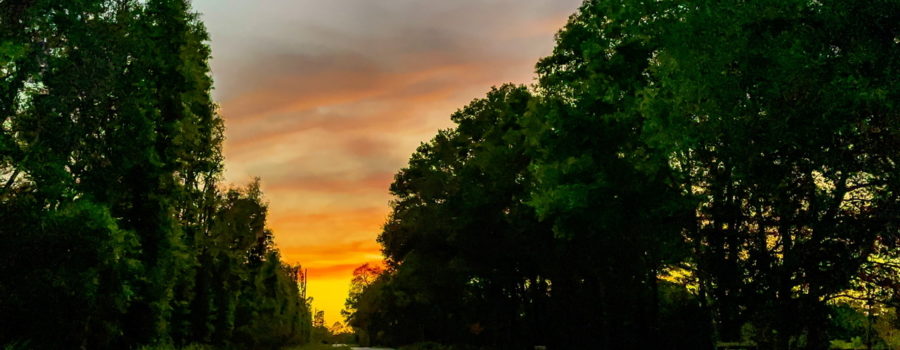 As evening approaches the golden hues of the sun light the horizon.