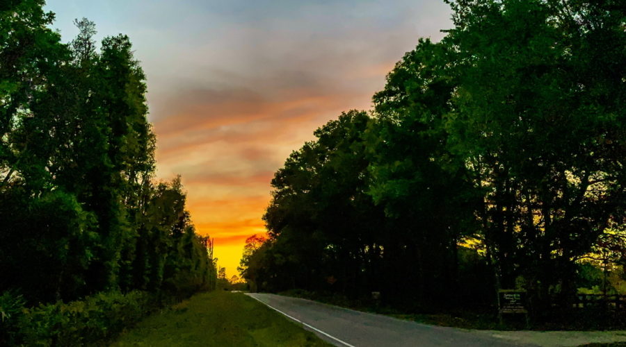 As evening approaches the golden hues of the sun light the horizon.