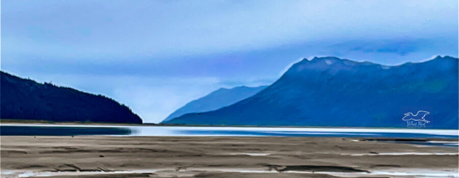 Low tide at Turnagain Arm exposes the mud flats that can be quite dangerous.
