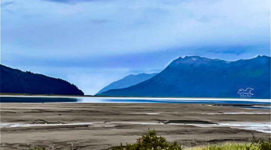 Low tide at Turnagain Arm exposes the mud flats that can be quite dangerous.