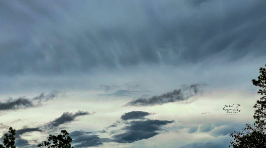 Fluffy cirrus clouds float in front of the dark clouds of an approaching thunderstorm in north central Florida.