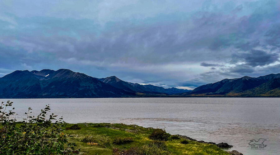 The view across the water at Turnagain Arm outside of Anchorage.