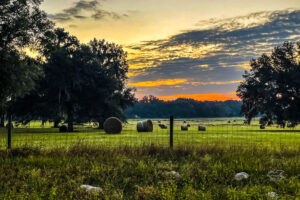 The sun begins to show color through the clouds over a farm in central Florida.