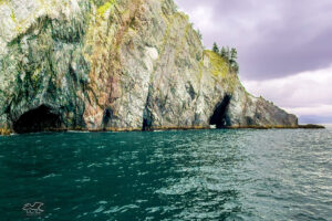 The rugged coastline of Alaska has many steep cliffs that are riddled with small and large caves.