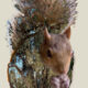 Eastern Grey Squirrels Love Wooded Habitats