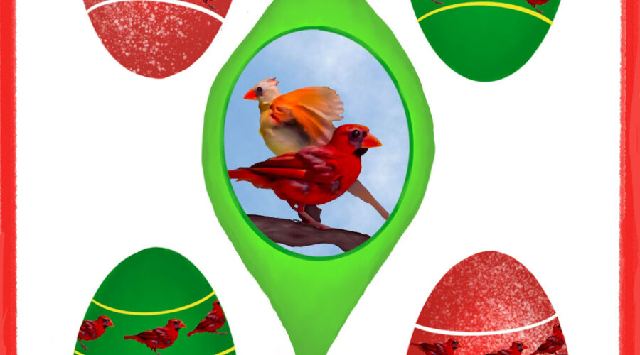 A group of cardinal themed Christmas baubles are just my way of saying happy holidays to everyone!
