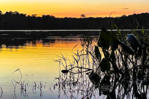 The oranges and yellows at the tail end of a sunset reflect off the waters of Lake Wauberg in central Florida.