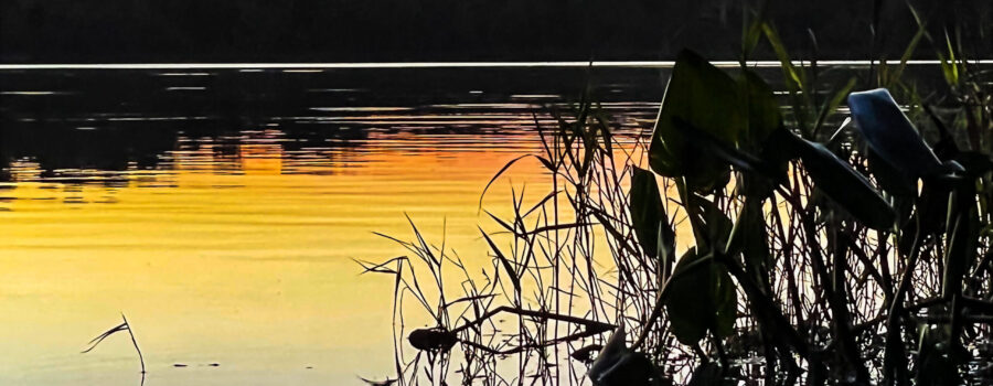 The oranges and yellows at the tail end of a sunset reflect off the waters of Lake Wauberg in central Florida.