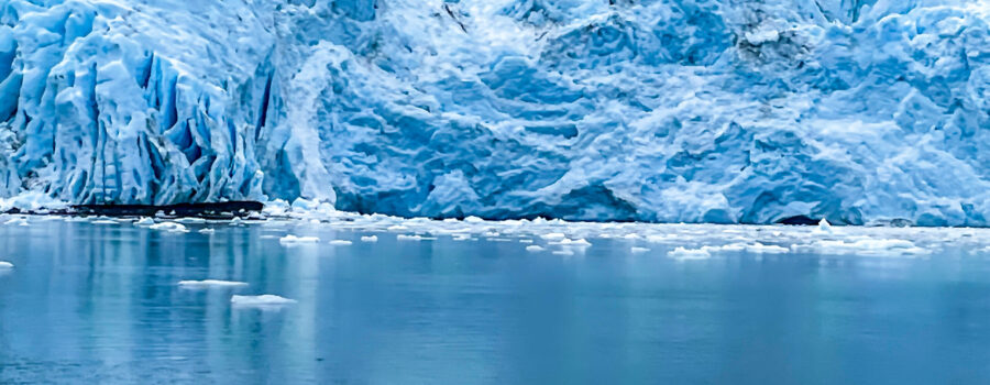 A large glacier with plenty of surrounding sea ice creates a very cold, icy environment.
