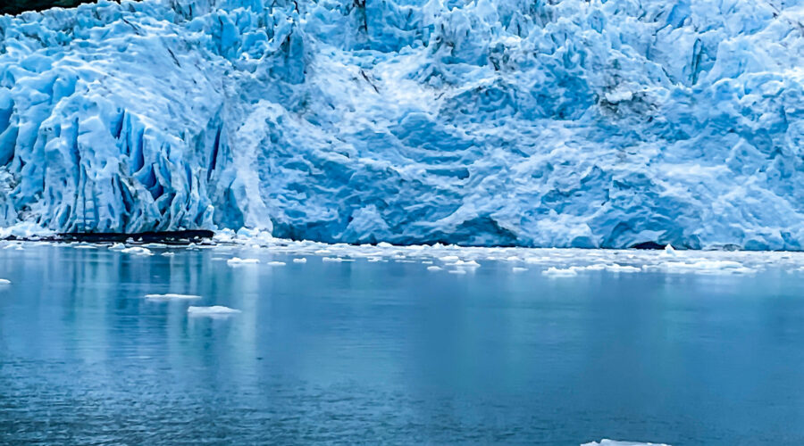 A large glacier with plenty of surrounding sea ice creates a very cold, icy environment.