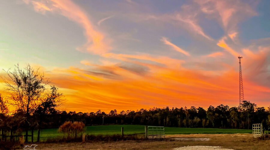 A fiery sunset lights up the overhead clouds in bright hues of orange and yellow.
