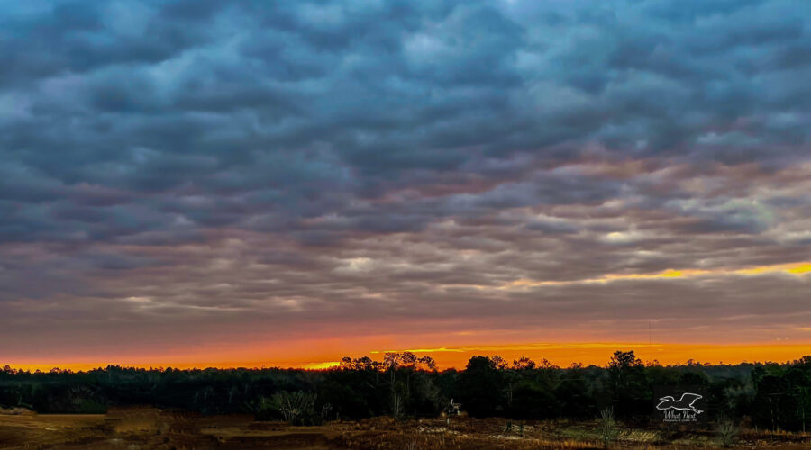 A smoldering orange sunrise spreads its color out to the overhanging clouds.